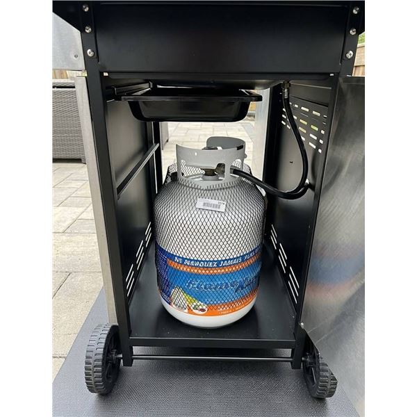 Flame King 30 lb Propane Cylinder With Gauge