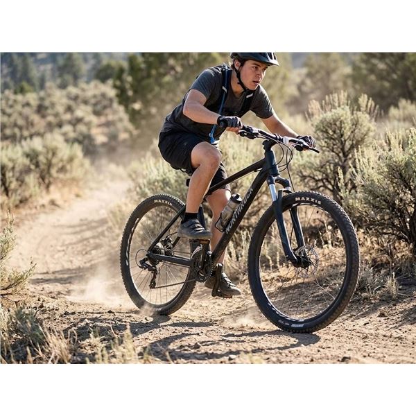 Northrock Mountain Bike with Maxxis Tires