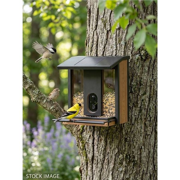 Evergreen Solar Camera Bird Feeder