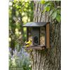 Image 1 : Evergreen Solar Camera Bird Feeder