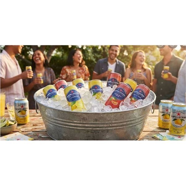 Sanpellegrino Variety Pack 24 Cans x 330ml Lemon And Blood Orange