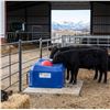 Image 1 : Canarm EF40C Energy Free Covered Poly Waterer
