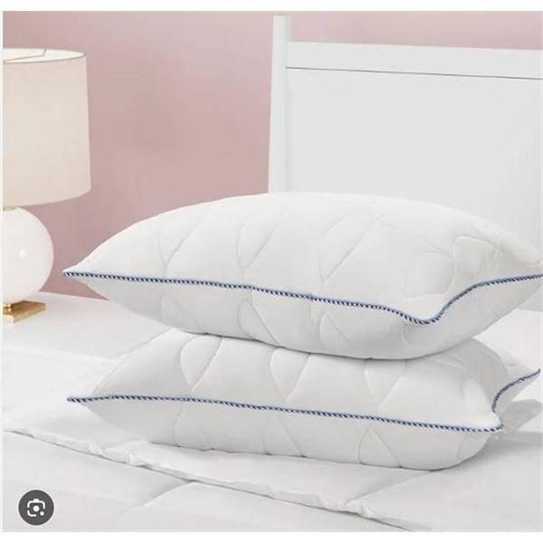 Kate Spade Queen Size Bed Pillows 2 Pack
