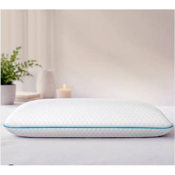 Martha Stewart Polyurethane Foam Pillow
