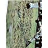Image 2 : Signed Fran Tarkenton Photo