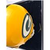 Image 5 : Green Bay Packers Player Helmet