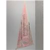 Image 5 : Portland Trailblazers Pennant