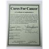 Image 2 : Autographed Lance Armstrong Sunflowers Photograph