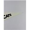 Image 4 : Hamilton Tiger Cats Pennant