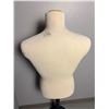 Image 3 : Manequin Torso With Stand