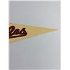 Image 4 : Baltimore Orioles Pennant