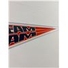 Image 2 : Dream Team USA Basketball Pennant