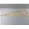 Image 6 : New York Yankee Pennant