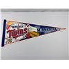 Image 1 : Minnesota Twins Pennant