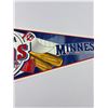 Image 3 : Minnesota Twins Pennant