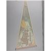 Image 5 : Minnesota Twins Pennant
