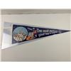 Image 1 : Apollo 11 Pennant