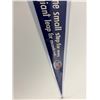Image 3 : Apollo 11 Pennant