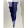 Image 4 : Apollo 11 Pennant