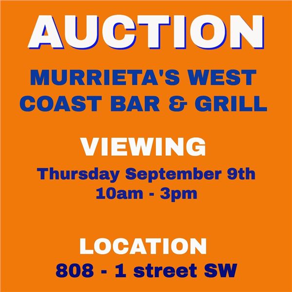 PLEASE READ THIS INFORMATION BEFORE BIDDING