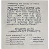 Image 13 : Framed Art and Hawaiian Gold-Plated Flower Plaques Lot