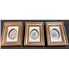 Image 5 : Framed Art and Hawaiian Gold-Plated Flower Plaques Lot