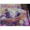 Image 16 : Women's 2XL-4XL Clothing, Phone Wallets, Card Holders and Cat Banner