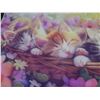 Image 17 : Women's 2XL-4XL Clothing, Phone Wallets, Card Holders and Cat Banner