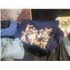 Image 13 : Women's Clothing Lot With Silver Jeans, Tops, Sweatshirt, and Accessories