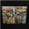 Image 1 : LOT OF 2 THE AMAZING SPIDERMAN COMICS 127,137 - MARVEL COMICS
