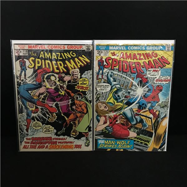 LOT OF 2 THE AMAZING SPIDERMAN COMICS 118,125 - MARVEL COMICS