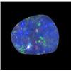 1.7ct Australian Black Opal Doublet Full Fire (GEM-22384C)