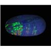2.47ct Australian Black Opal Doublet Full Fire (GEM-22629C)