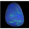 5.92ct Australian Black Opal Doublet Full Fire (GEM-22593A)