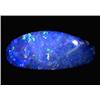 3.28ct Australian Black Opal Doublet Full Fire (GEM-22609B)