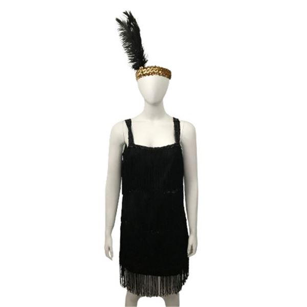 Vintage Flapper Dress Costume