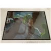 Image 1 : Savage Dragon Animation Cel