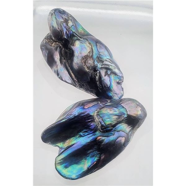 Abalone Pearl Pair (54 ct total, 30×20 mm)