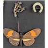 Image 5 : Costume Jewelry Lot With Chains, Brooches, Earrings, and Pins