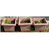 Image 5 : Metal Garden Trellises and Three Plastic Plant Pots