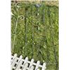 Image 7 : Metal Garden Trellises and Three Plastic Plant Pots