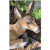 Image 6 : Stone Art Deer and Fawn Garden Statues