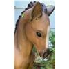 Image 2 : Painted Composite Foal Garden Statue