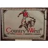 Image 3 : Country West Brown Suede Leather Western Blazer
