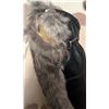 Image 11 : Winter Accessories Lot: Hats, Gloves, Scarves, Boots, Fur Mittens