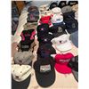 Image 4 : Assorted Trucking and Industrial Logo Hats