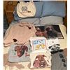 Image 1 : Dachshund and Dog Apparel Lot