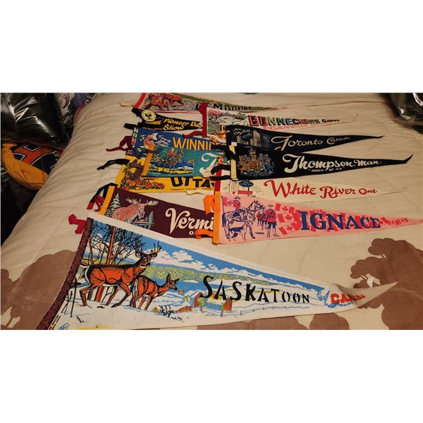 Canadian Souvenir Felt Pennants