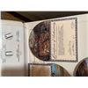 Image 17 : W.S. George Endangered Species Collector Plates with COAs