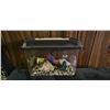 Image 4 : Three Fish Tanks With Accessories and Stand